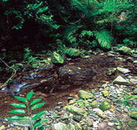 Wompoo Walk - Find Attractions