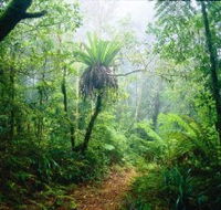 Lamington National Park Green Mountains Section - Find Attractions