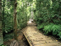 Book Malanda Accommodation Vacations Find Attractions Find Attractions
