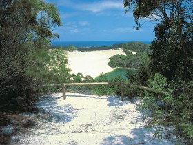 Lake Wabby Track Fraser Island