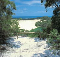 Lake Wabby Track - Find Attractions