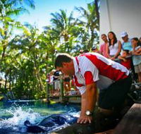 The Living Reef on Daydream Island - Find Attractions