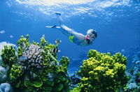 Wheeler Reef Dive Site