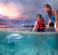 Tangalooma Island Resort - Find Attractions