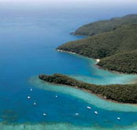 Butterfly Bay - Hook Island - Find Attractions
