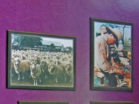 Charleville Photographic Display - Find Attractions 0