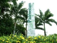 Townsville Palmetum