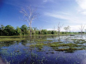 Tyto Wetlands - Find Attractions 0