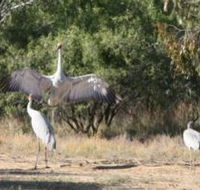 Bulloo River Walk - Find Attractions