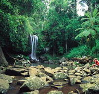 Tamborine National Park - Find Attractions