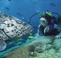 Pelorus Island - Find Attractions