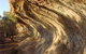 Wave Rock Trail - thumb 0