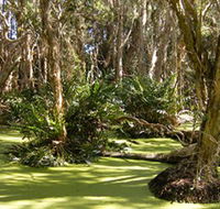 Arkarra Lagoons and Tea Gardens - Find Attractions