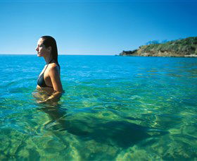 Agnes Water Beach - Find Attractions 0
