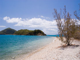 Paddle Bay Track And Campsite - Find Attractions 0