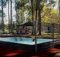 Teddington Weir and Picnic Reserve - Find Attractions
