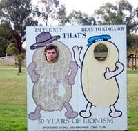 Kingaroy Lions Park - Find Attractions