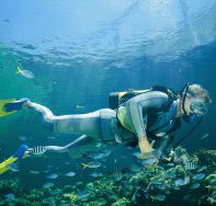Manta Ray Bommie Dive Site - Find Attractions