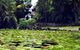 Queens Park Waterfall - thumb 0