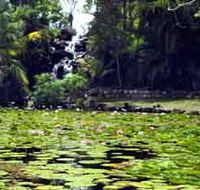 Queens Park Waterfall - Find Attractions