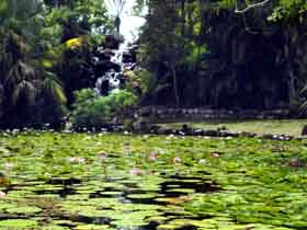 Queens Park Waterfall - Find Attractions 0