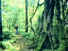 Aratula Primary QLD Find Attractions
