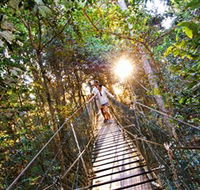 Tree Top Walkway - Find Attractions