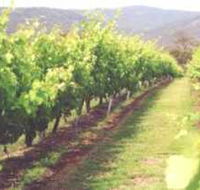 Girraween Estate - Find Attractions