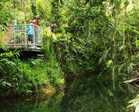 Djiru National Park
