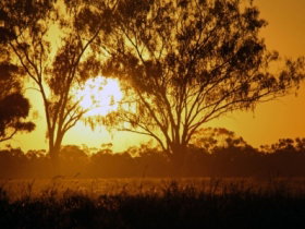 Lake Houdraman Quilpie