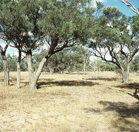 Forest Den National Park - Find Attractions