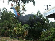 The Big Cassowary - Find Attractions 0
