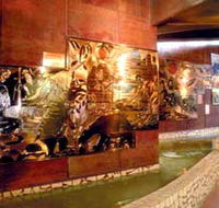 Riversleigh Fossil Centre - Find Attractions