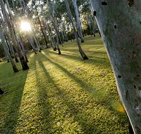 Tondoon Botanic Gardens - Find Attractions