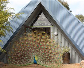 Halls Gap Zoo - Find Attractions 0
