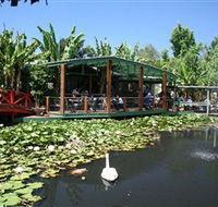 Blue Lotus Water Garden - Find Attractions