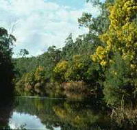 Warrandyte State Park - Find Attractions