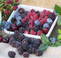 Bright Berry Farms - Find Attractions