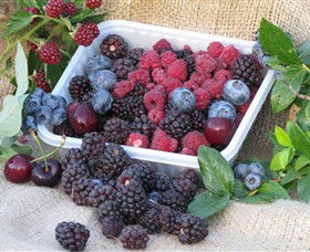 Bright Berry Farms - Find Attractions 0