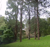 Mount Dandenong Arboretum - Find Attractions