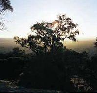 Yarra Flats - Find Attractions