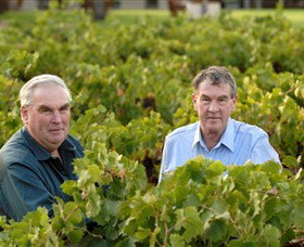 Campbells Wines Rutherglen