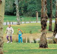 Westerfolds Park - Find Attractions