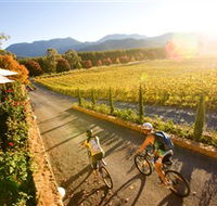 Boyntons Feathertop Winery - Find Attractions