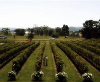 Rochford Wines