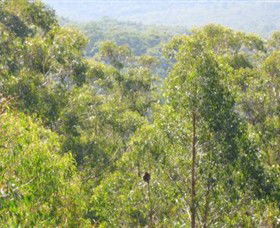 Bunyip State Park - Find Attractions 0