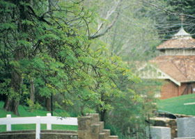 Hepburn Regional Park - Find Attractions 0