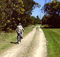 Koomba Park - Find Attractions