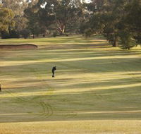 Cohuna Golf Club - Find Attractions