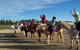 Saddle On Riding School - thumb 3